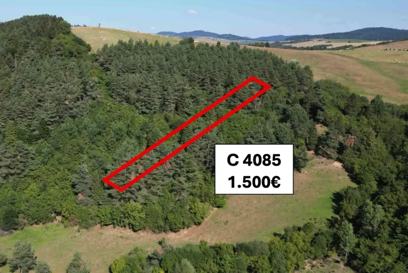 Agricultural and forest lands in Plaveč include dense forest and open countryside.