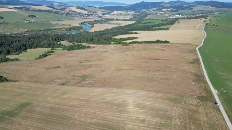 Vast agricultural and forest lands around Plaveč surrounded by rivers and forests.