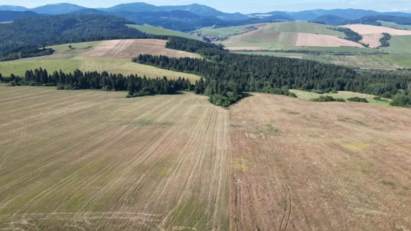 Agricultural and forest lands in Plaveč with hilly meadows and forests in the background.