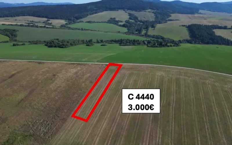 Agricultural and forest lands around Plaveč with marked plots for sale.