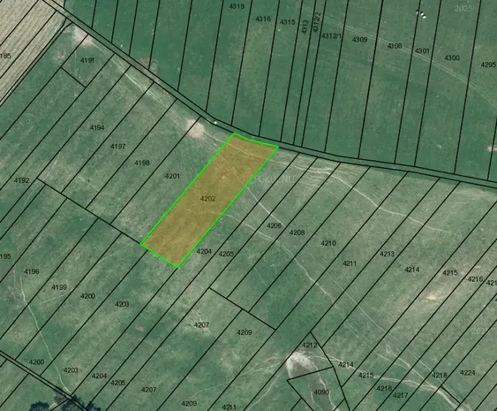 Cadastral map of agricultural and forest lands near Plaveč.