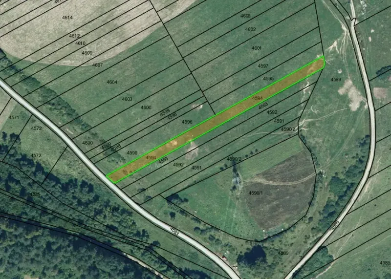 Aerial map of fields and roads in the Plaveč cadastre, agricultural and forest lands.