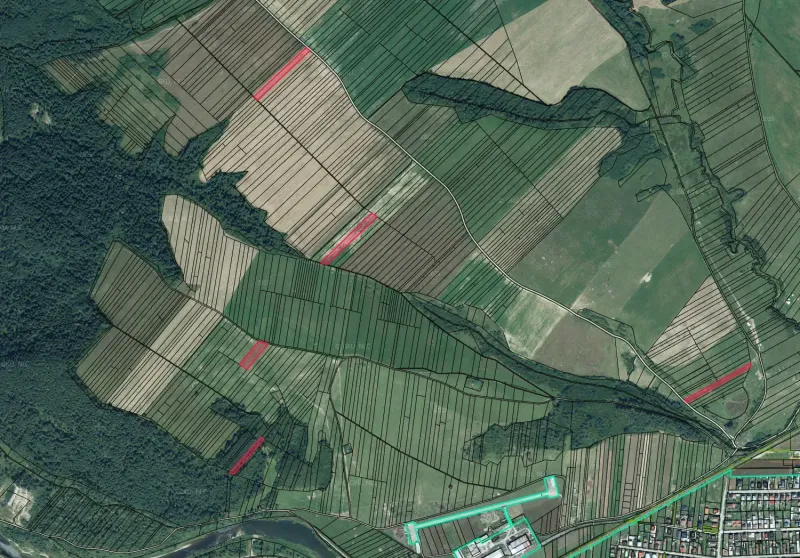Agricultural and forest lands in Plaveč with various plots and roads.