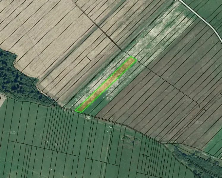 Aerial view of agricultural and forest lands in Plaveč with fields of various sizes.