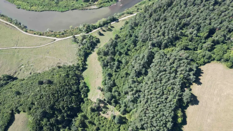 A river and roads surrounded by forests and fields in Plaveč on agricultural and forest land.