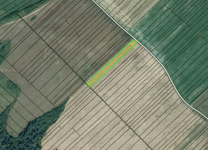 Agricultural and forest lands in Plaveč. Various colored fields and roads are visible.
