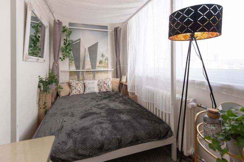 Bedroom in a 2-room apartment with a bed, a floor lamp, and decorative plants.