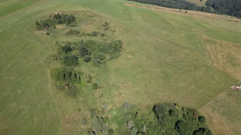 A meadow with scattered trees in agricultural and forest lands near Stará Ľubovňa.
