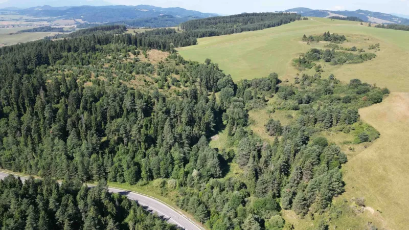 Forests and meadows on agricultural and forest lands near Stará Ľubovňa.