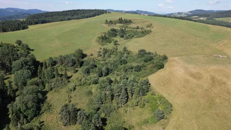 Meadows and forest stands in the vicinity of Stará Ľubovňa, suitable for agricultural and forest land.
