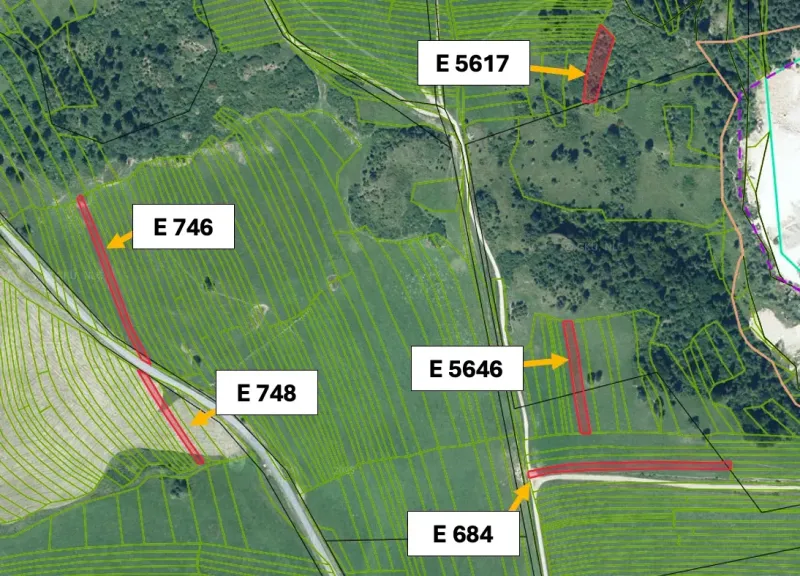 Aerial map of agricultural and forest lands around Stará Ľubovňa.