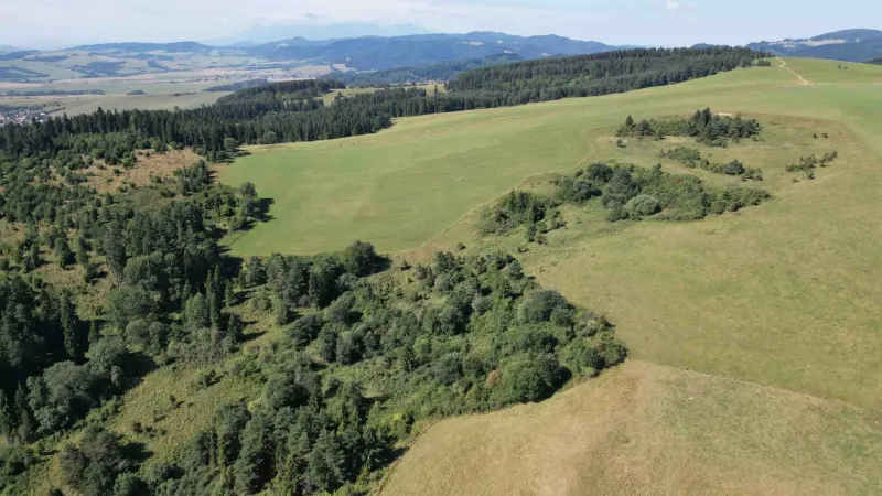 Agricultural and forest lands in the Stará Ľubovňa area, surrounded by beautiful nature.