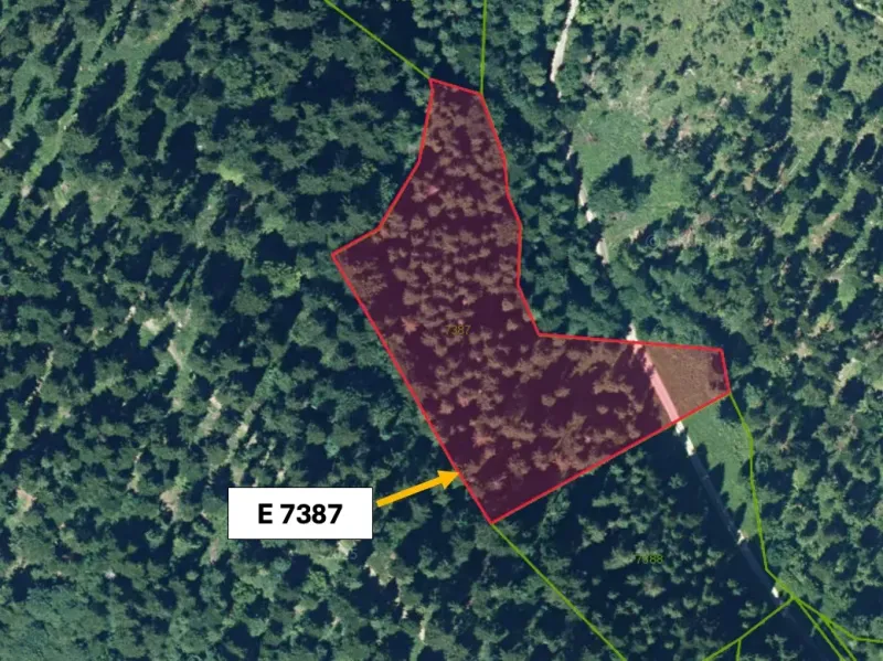 Aerial view of agricultural and forest lands in the Stará Ľubovňa area.