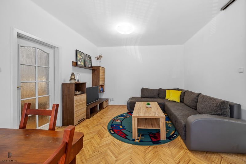 Living room in a two-room apartment with a sofa, TV, and wood-patterned flooring.