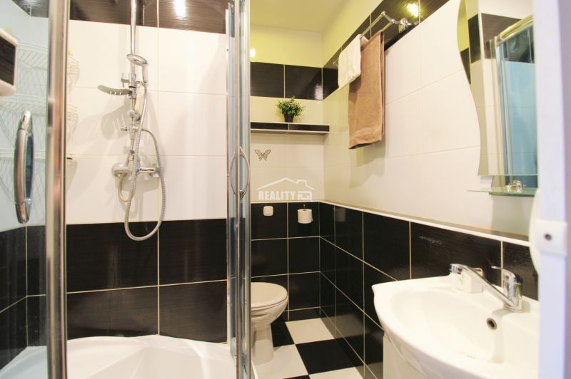 A bathroom with black and white tiles and a shower in a studio apartment.