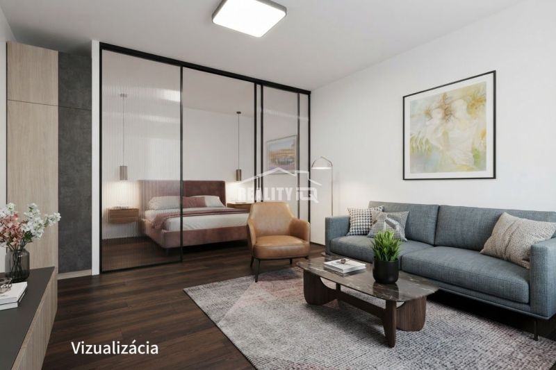 1-bedroom apartment with wood-patterned flooring, a sofa, and a glass partition.
