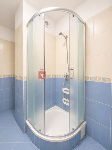 Bathroom with a shower and blue tiles in a studio apartment.