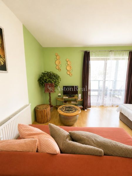 Living room of a one-bedroom apartment with a wooden decor floor, green wall, comfortable sofa.