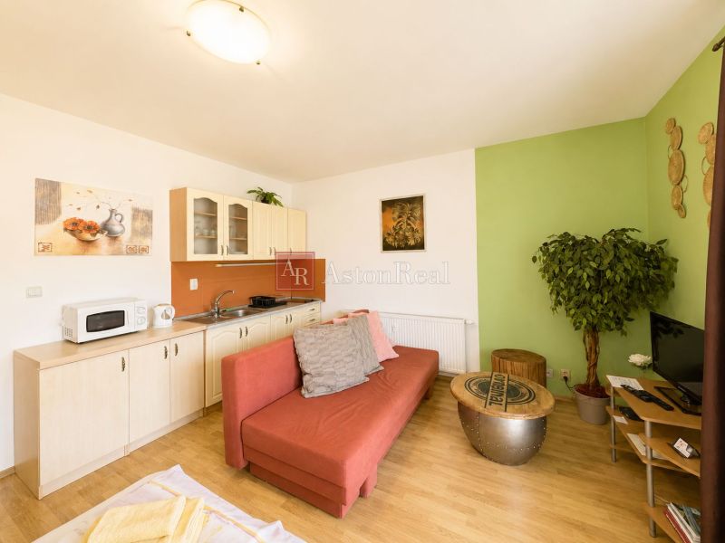 Living room with wood-patterned flooring, an orange sofa, and a kitchenette in a studio apartment.