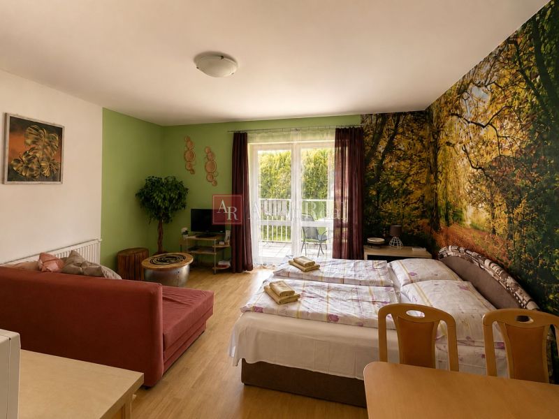 A studio apartment with a decorative wall and wood-patterned flooring, furnished with furniture.
