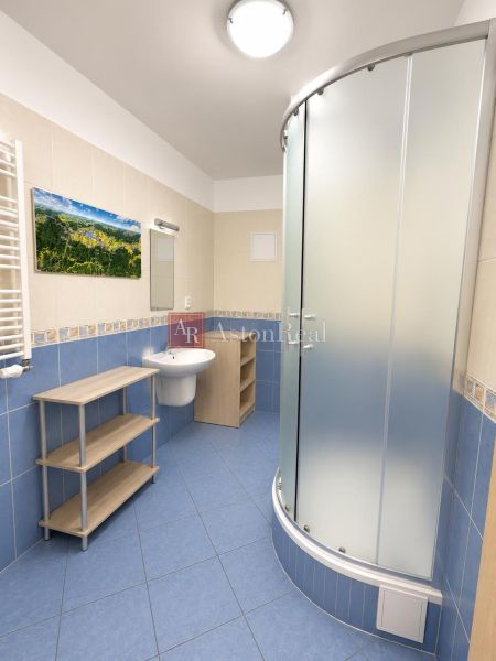 A bathroom in a studio apartment with a shower, a sink, and a shelving unit.