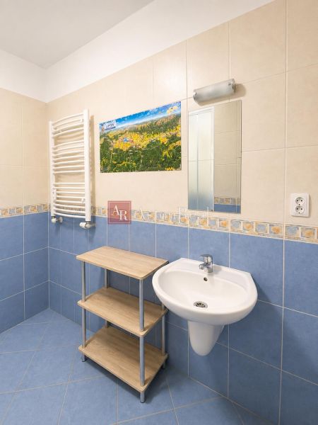 A bathroom with blue tiles in a studio apartment, a sink, and wall decoration.