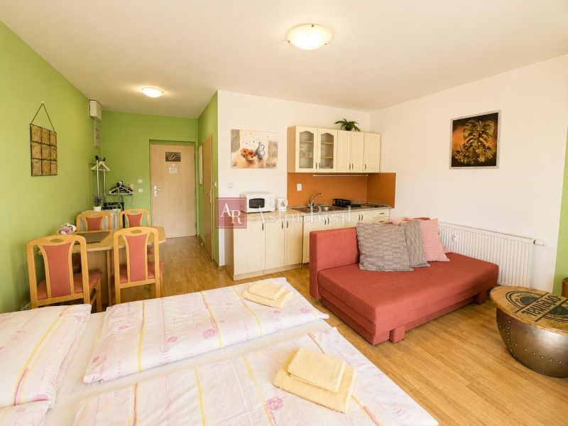 1-room apartment with wood-patterned flooring, a kitchenette, and a sofa bed.