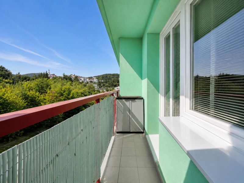 The balcony of a one-room apartment with green walls, overlooking nature and rooftops.