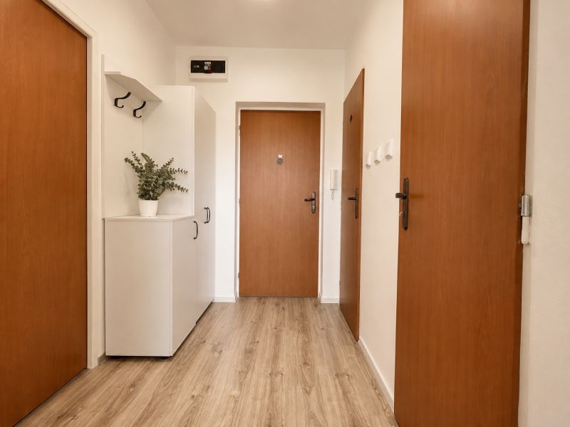 Entrance hallway in a one-room apartment with wood-patterned flooring and white furniture.