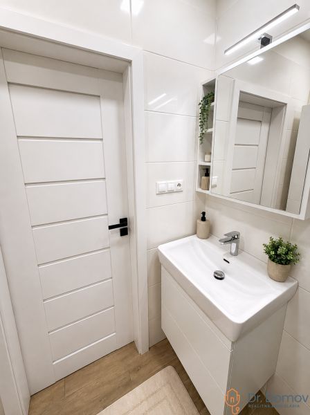 A bathroom in a studio apartment with a sink and a wooden decor floor.