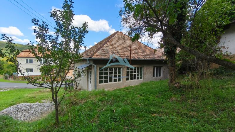 A family house in Olováry surrounded by greenery and trees with a traditional sloped roof.
