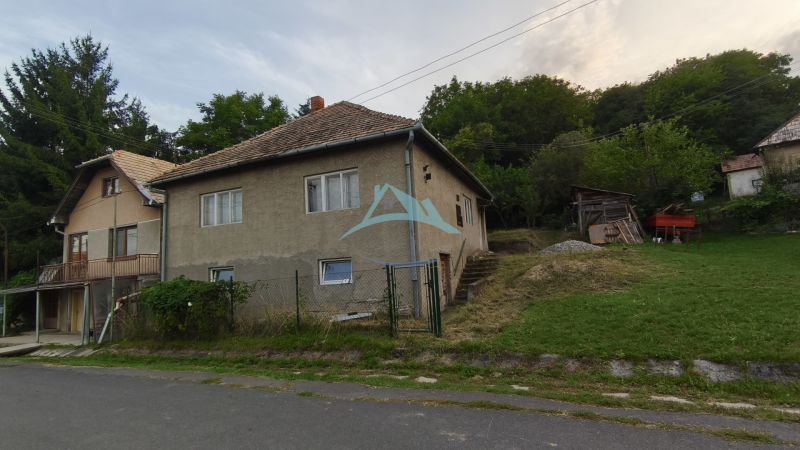 A family house in Olovary with a simple facade and a spacious plot near the forest.