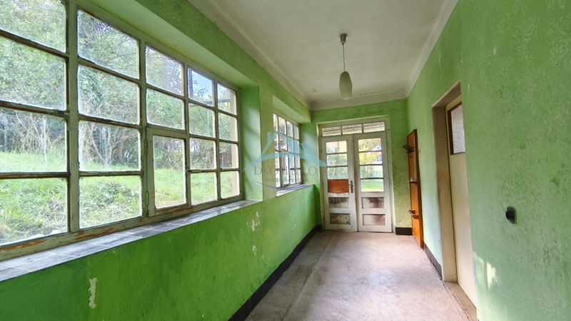 Winter garden of the family house in Olováry with large windows and green walls.