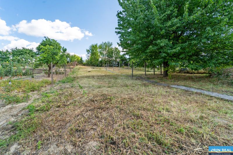 A view of the garden with grass and trees at the family house in Vištuk 158.