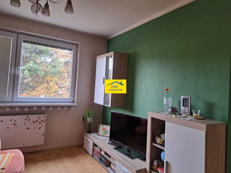 Living room with wooden decor, television, and a green wall in a two-room apartment.