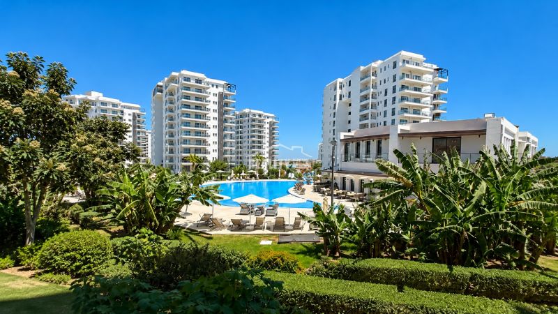 Apartments in Bogazi surrounded by greenery with a pool in the center.