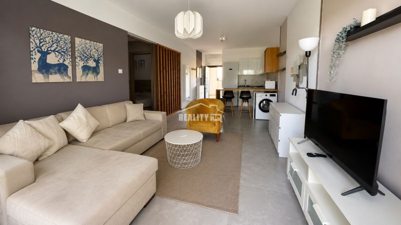 Studio apartment with a beige sofa, kitchen, washing machine, and wall decorations.