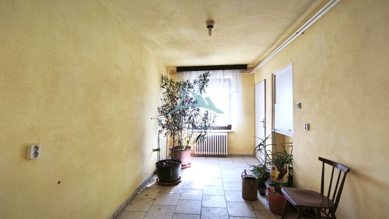 Interior of a family house with houseplants, a wooden chair, and tiled flooring.