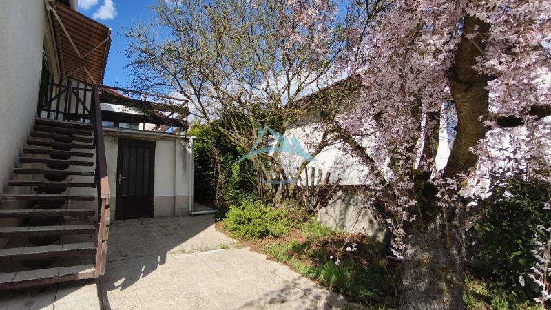 A family house on Ľ. Štúr Street in Veľký Krtíš with a terrace and a blooming sakura.