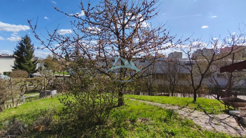 A garden with a flowering tree at a family house on Ľ. Štúr Street in Veľký Krtíš.