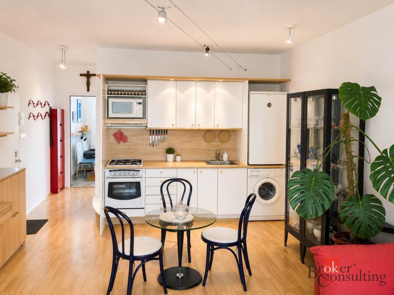 Spacious kitchen in a 2-room apartment with a wooden decor floor and a houseplant.