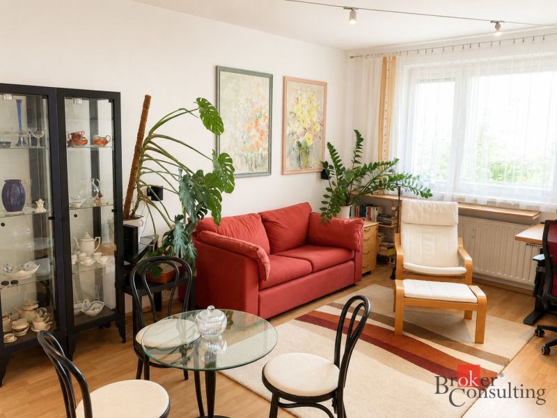 Living room in a two-room apartment with a red couch and plants.