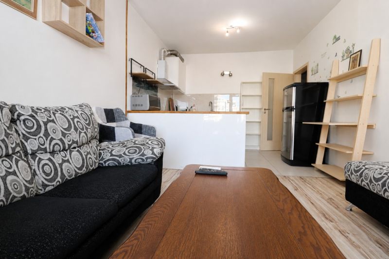 Living room with a sofa, wood-patterned floor, kitchen, and black refrigerator in a two-room apartment.