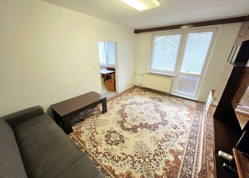 Living room in a 3-room apartment with a patterned carpet and a sofa.