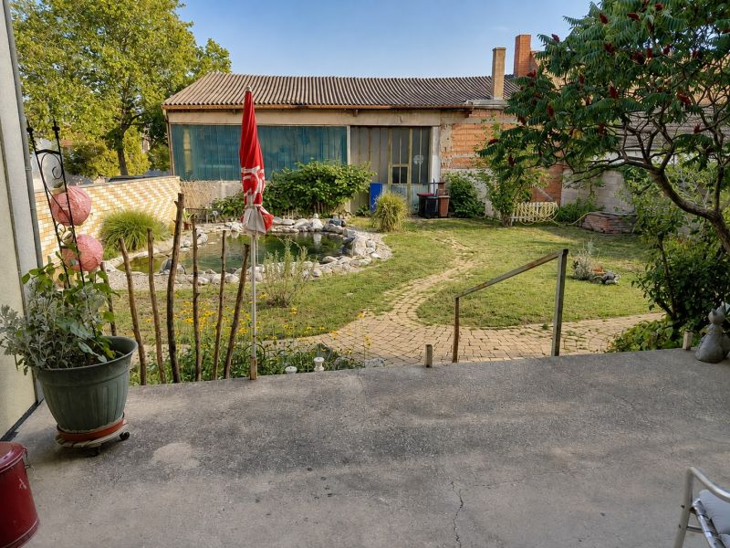 A garden at a family house in Podersdorf am See with a garden pond and vegetation.