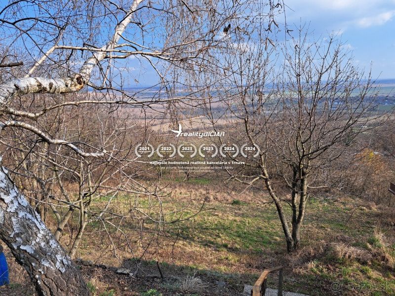 A garden at the cottage in Dolné Orešany with a view of the trees and landscape.