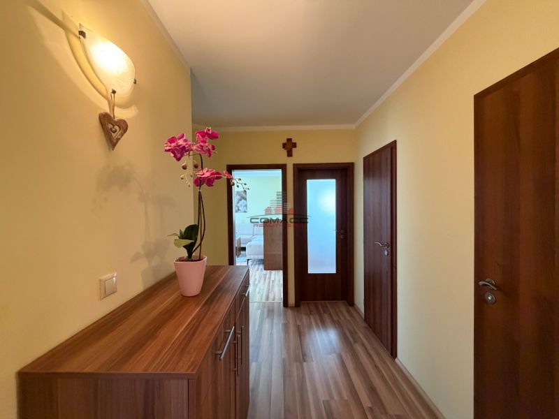 A hallway in a 3-room apartment with a wooden decor floor and a decorative plant.