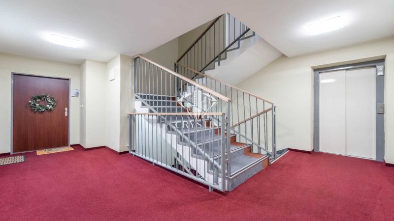 Hallway in a Recreational Apartment with a red carpet, staircase, and elevator.