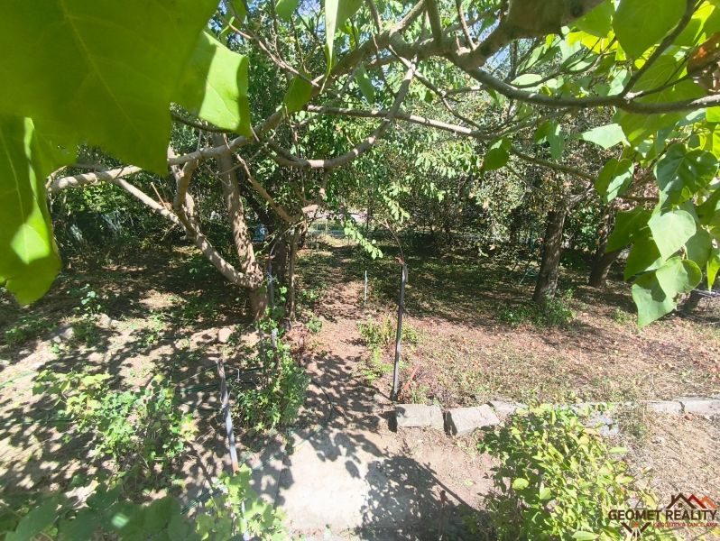 Gardens in Lučenec with lush vegetation and shady nooks among the trees.