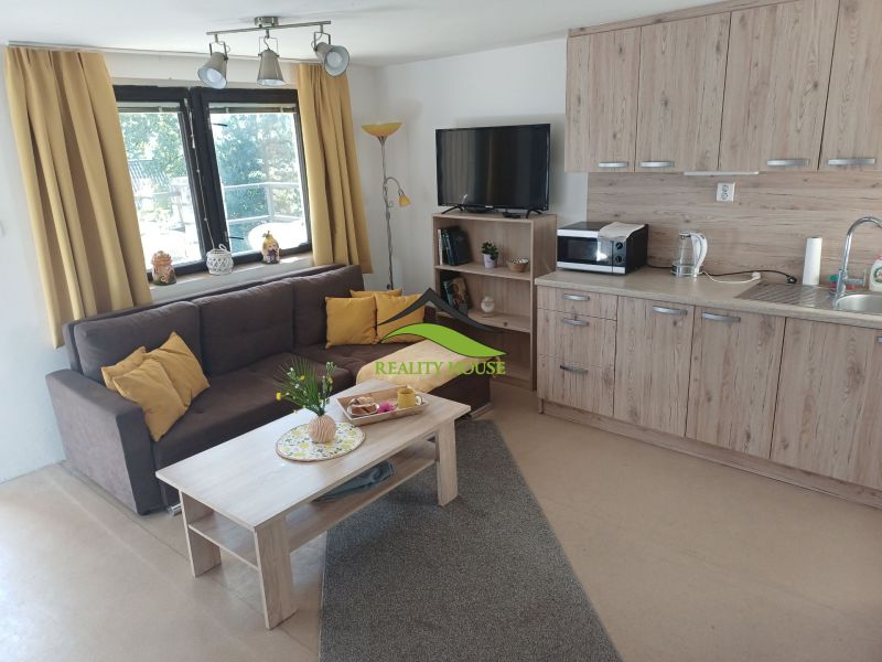 Living room in a cottage with a sofa, kitchenette, and wooden decor flooring.